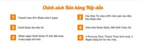 Chính sách bán hàng Safira Khang Điền